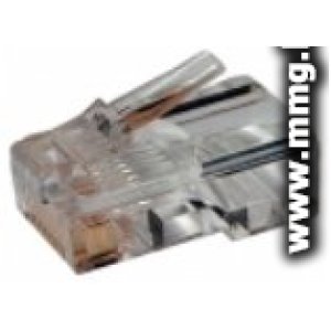 Купить Вилка RJ-12 TWT TWT-PL12-6P4C/100 в Минске, доставка по Беларуси