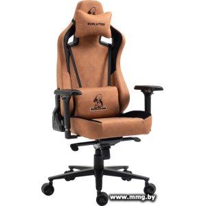 Купить EVOLUTION PROJECT A FABRIC Brown в Минске, доставка по Беларуси