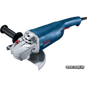 Bosch GWS 2200 Professional 06018C1320