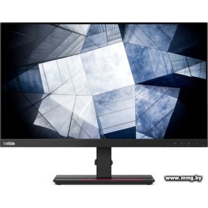 Купить Lenovo ThinkVision P24h-2L 62B2GAT1IS в Минске, доставка по Беларуси