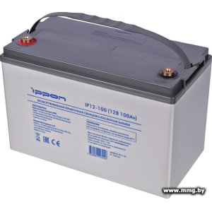 Купить IPPON IP12-100 (12В/100 А·ч) в Минске, доставка по Беларуси