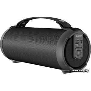 Купить Digma D-PS1520 (черный) в Минске, доставка по Беларуси