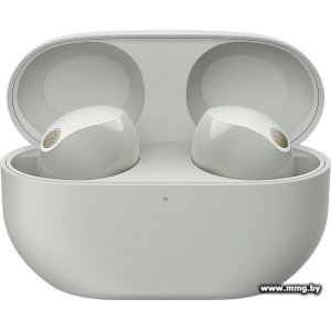 Купить Sony WF-1000XM5 (серебристый) в Минске, доставка по Беларуси