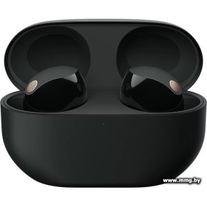 Купить Sony WF-1000XM5 (черный) в Минске, доставка по Беларуси