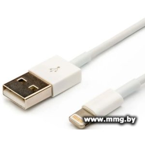 Кабель ATcom AT5260 USB Type-A - Lightning (1 м, белый)