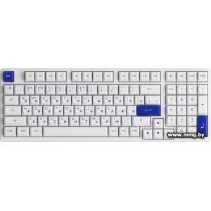Купить Akko 3098N Blue & White (TTC Honey) в Минске, доставка по Беларуси