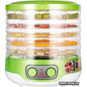 Купить Мастерица EFD-3061 (зеленый перламутр) в Минске, доставка по Беларуси