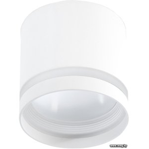 Купить Спот SmartBuy SBL-TS2006-GX53-w в Минске, доставка по Беларуси