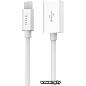 Купить Адаптер Yoobao YB-CAF2 в Минске, доставка по Беларуси