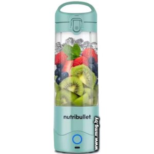 Купить NutriBullet NBP003LBL в Минске, доставка по Беларуси