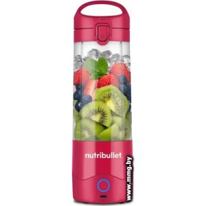 Купить NutriBullet NBP003MA в Минске, доставка по Беларуси