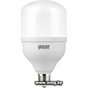 Лампа светодиодная Gauss Elementary T100 E27 32 Вт 6500 K 63233