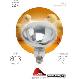 Инфракрасная лампа ЭРА ИКЗ 220-250 R127 E27 Б0055440
