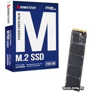 Купить SSD 256GB BIOSTAR M760 M760-256GB в Минске, доставка по Беларуси