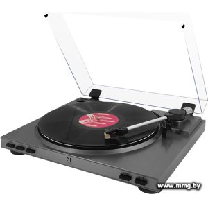 Купить Music Public Kingdom TT21AT в Минске, доставка по Беларуси