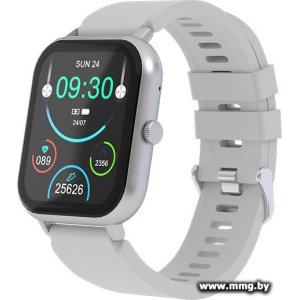 Maxvi SW-02 (серый)