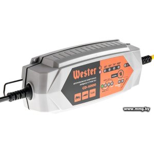 Купить Wester CD-4000 в Минске, доставка по Беларуси