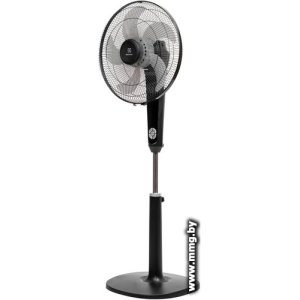 Electrolux EFF-1004B