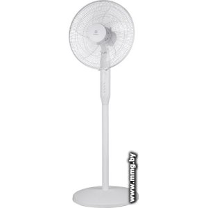 Купить Electrolux EFF-1006W в Минске, доставка по Беларуси