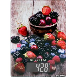 Купить Galaxy Line GL2819 в Минске, доставка по Беларуси