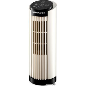 Brayer BR4979
