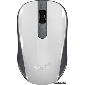 Купить Genius NX-8008S (белый/серый) 31030028403 в Минске, доставка по Беларуси