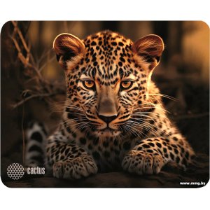 Купить CACTUS CS-MP-D06S в Минске, доставка по Беларуси