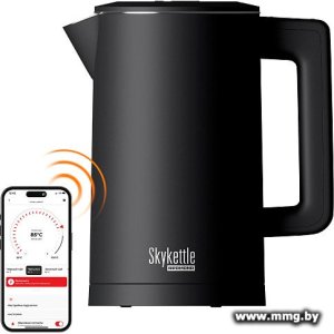 Купить Чайник Redmond SkyKettle KM231S (черный) в Минске, доставка по Беларуси