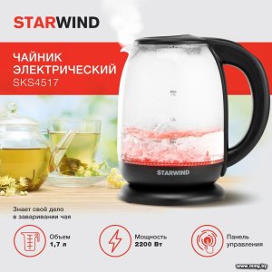 Купить Чайник StarWind SKS4517 в Минске, доставка по Беларуси