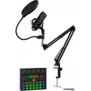 Купить Микрофон Oklick SM-600G (1796784) в Минске, доставка по Беларуси