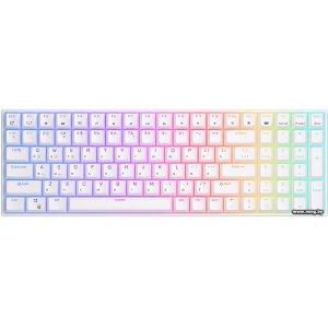 Купить Royal Kludge RK100 RGB (белый, RK Red) в Минске, доставка по Беларуси