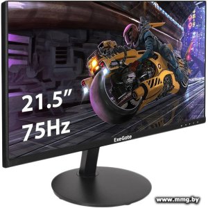 ExeGate SmartView EP2207 EX295588RUS