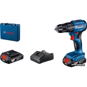 Купить Bosch GSB 185-LI Professional 06019K3100 (2 АКБ, кейс) в Минске, доставка по Беларуси