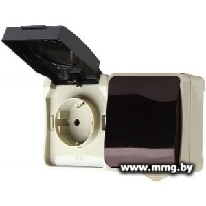 Купить Розетка SmartBuy SBE-04w-16-SWS в Минске, доставка по Беларуси