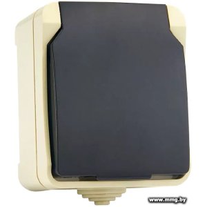 Купить Розетка SmartBuy Сатурн SBE-04w-16-S1-Z в Минске, доставка по Беларуси