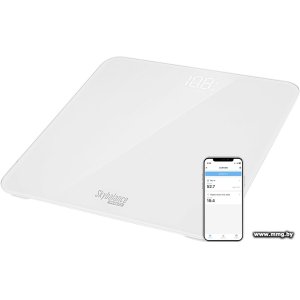 Купить RED Solution SkyBalance RS-762S в Минске, доставка по Беларуси