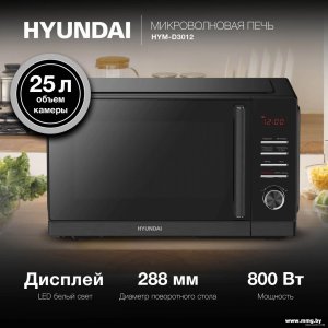 Купить Hyundai HYM-D3012 в Минске, доставка по Беларуси