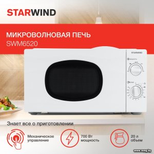 Купить StarWind SWM6520 в Минске, доставка по Беларуси