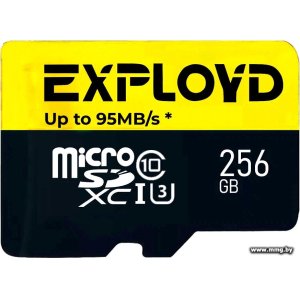 Exployd 256GB microSDXC EX256GCSDXC10UHS-1-ElU3 w