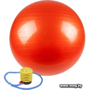 Купить Гимнастический мяч Calviano с насосом 55 см (красный) в Минске, доставка по Беларуси