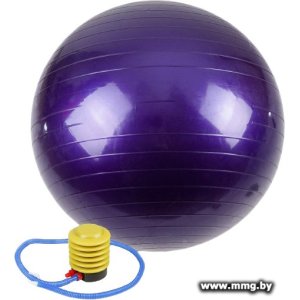 Купить Гимнастический мяч Calviano с насосом 65 см (фиолетовый) в Минске, доставка по Беларуси