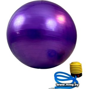 Купить Гимнастический мяч Calviano с насосом 75 см (фиолетовый) в Минске, доставка по Беларуси