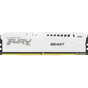 Купить 16Gb PC5-48000 Kingston KF560C36BWE2-16 в Минске, доставка по Беларуси