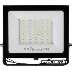 Купить Прожектор SmartBuy SBL-EFL-100-65 в Минске, доставка по Беларуси