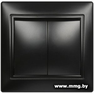 Купить Выключатель SmartBuy Венера SBE-01b-10-SW2-0-c в Минске, доставка по Беларуси