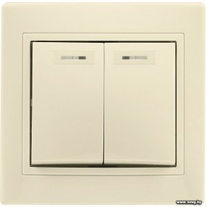 Выключатель SmartBuy Венера SBE-01i-10-SW2-1-c