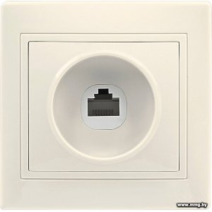 Купить Розетка SmartBuy Венера SBE-01i-S1-RJ в Минске, доставка по Беларуси