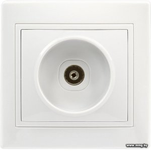 Купить Розетка SmartBuy Венера SBE-01w-S1-TV в Минске, доставка по Беларуси