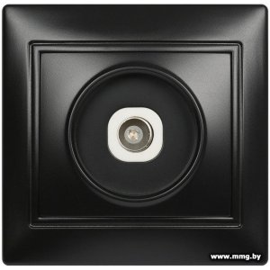 Купить Розетка SmartBuy Венера SBE-01b-S1-TV в Минске, доставка по Беларуси