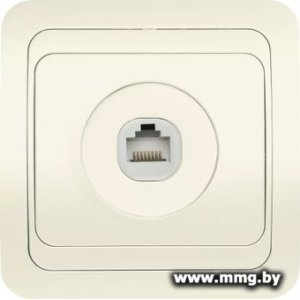 Купить Розетка SmartBuy Марс SBE-02i-S1-RJ в Минске, доставка по Беларуси